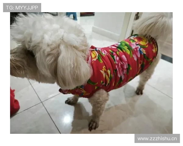 皮克今天豪车换成跑船了？这变装有点猛哈